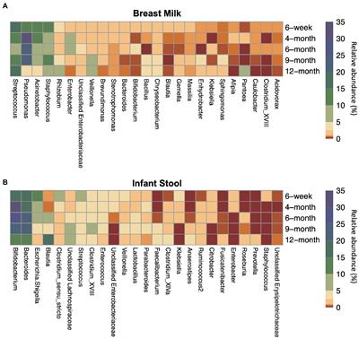 Human milk-associated bacterial communities associate with the infant gut microbiome over the first year of life